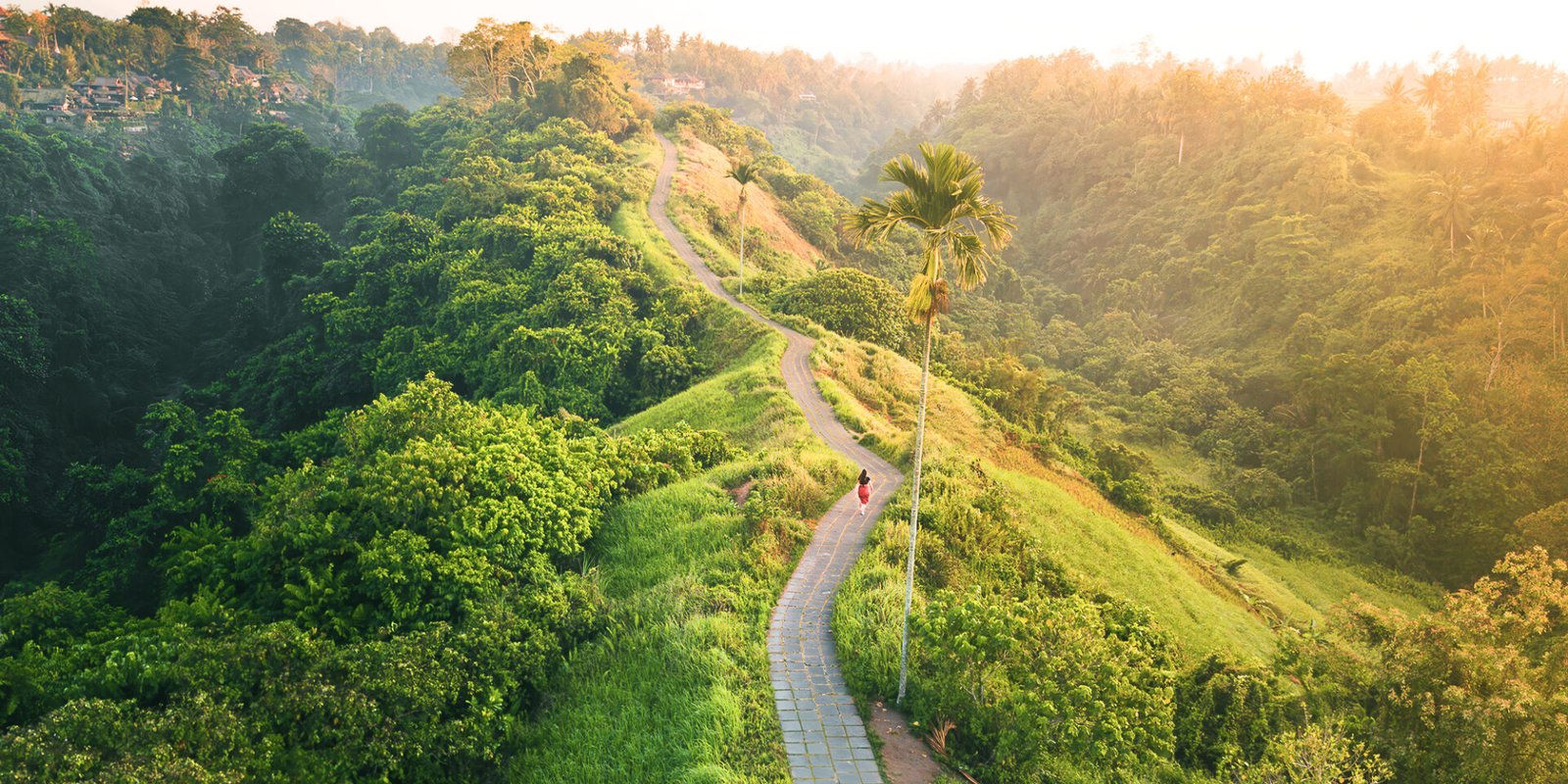 7 Incredible Places to Visit in Ubud