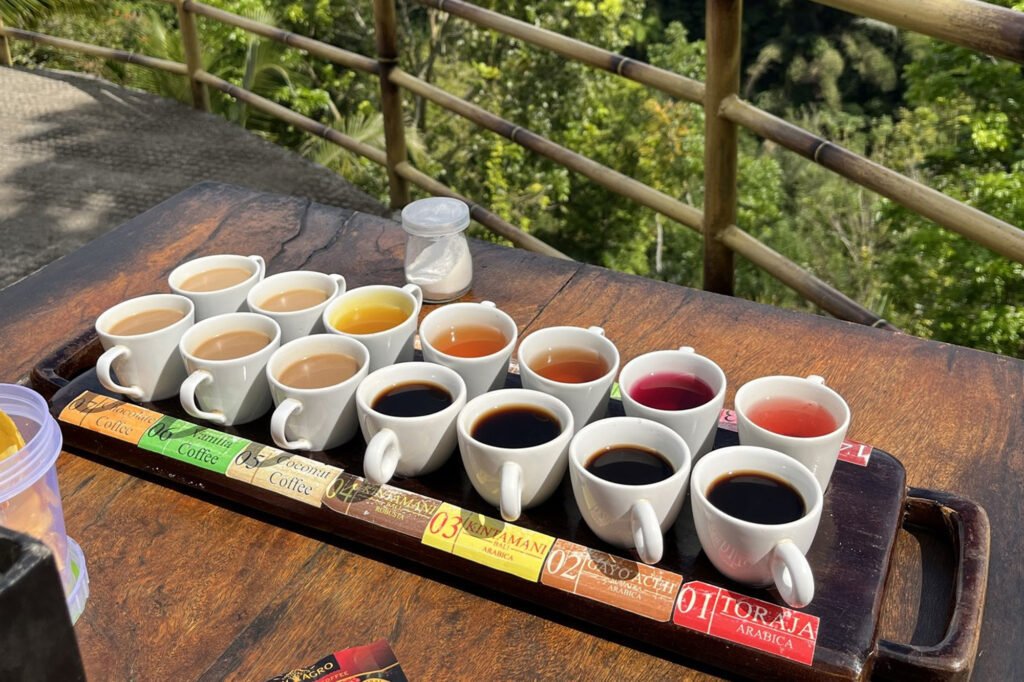 Luwak Coffee Experience