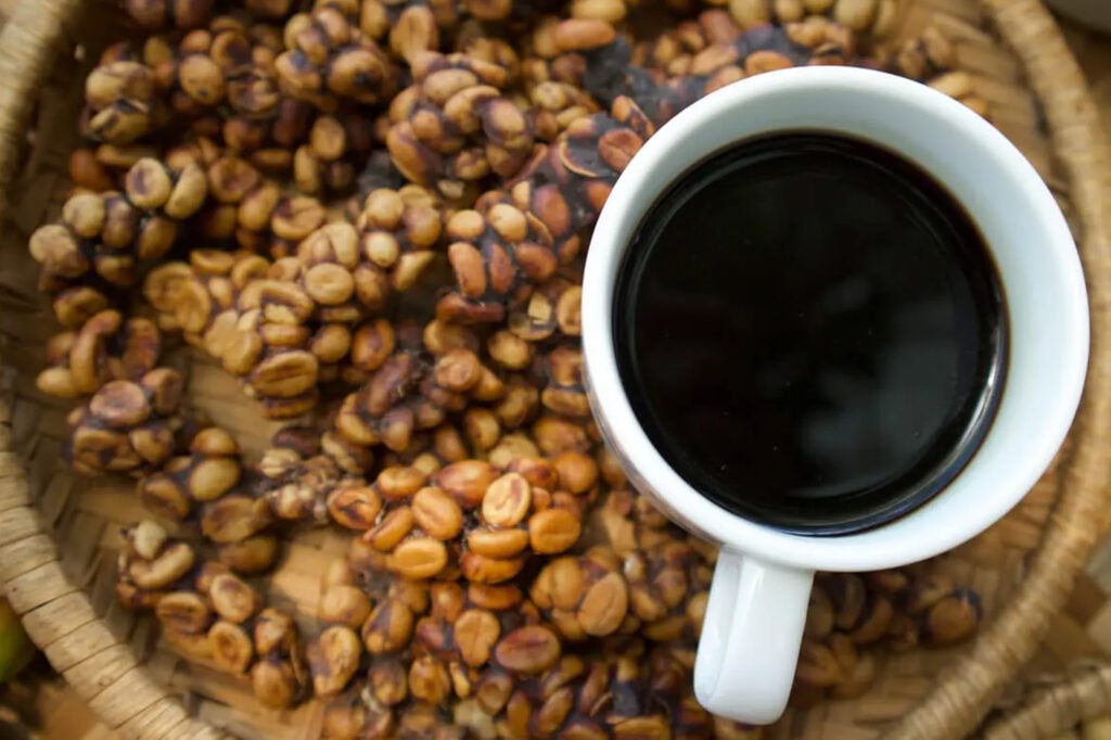 Luwak Coffee: The Most Expensive Coffee
