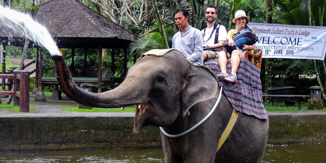 Taro Elephant Sanctuary